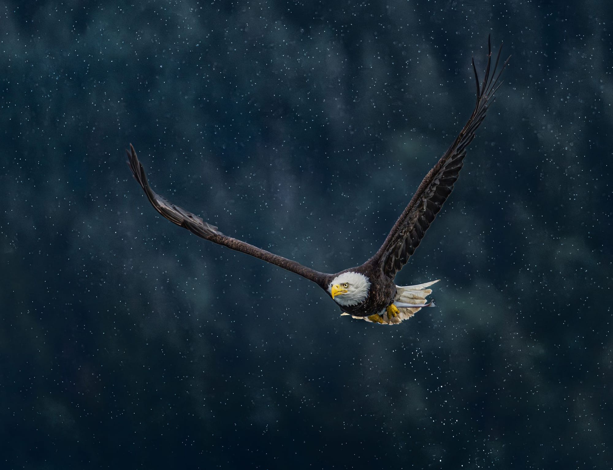 Celestial Flight