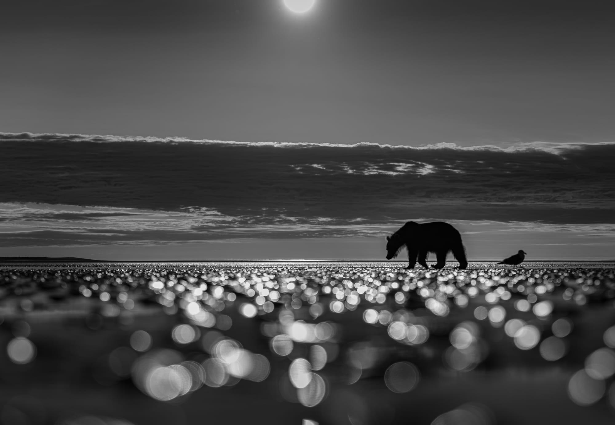 Diamonds Underfoot