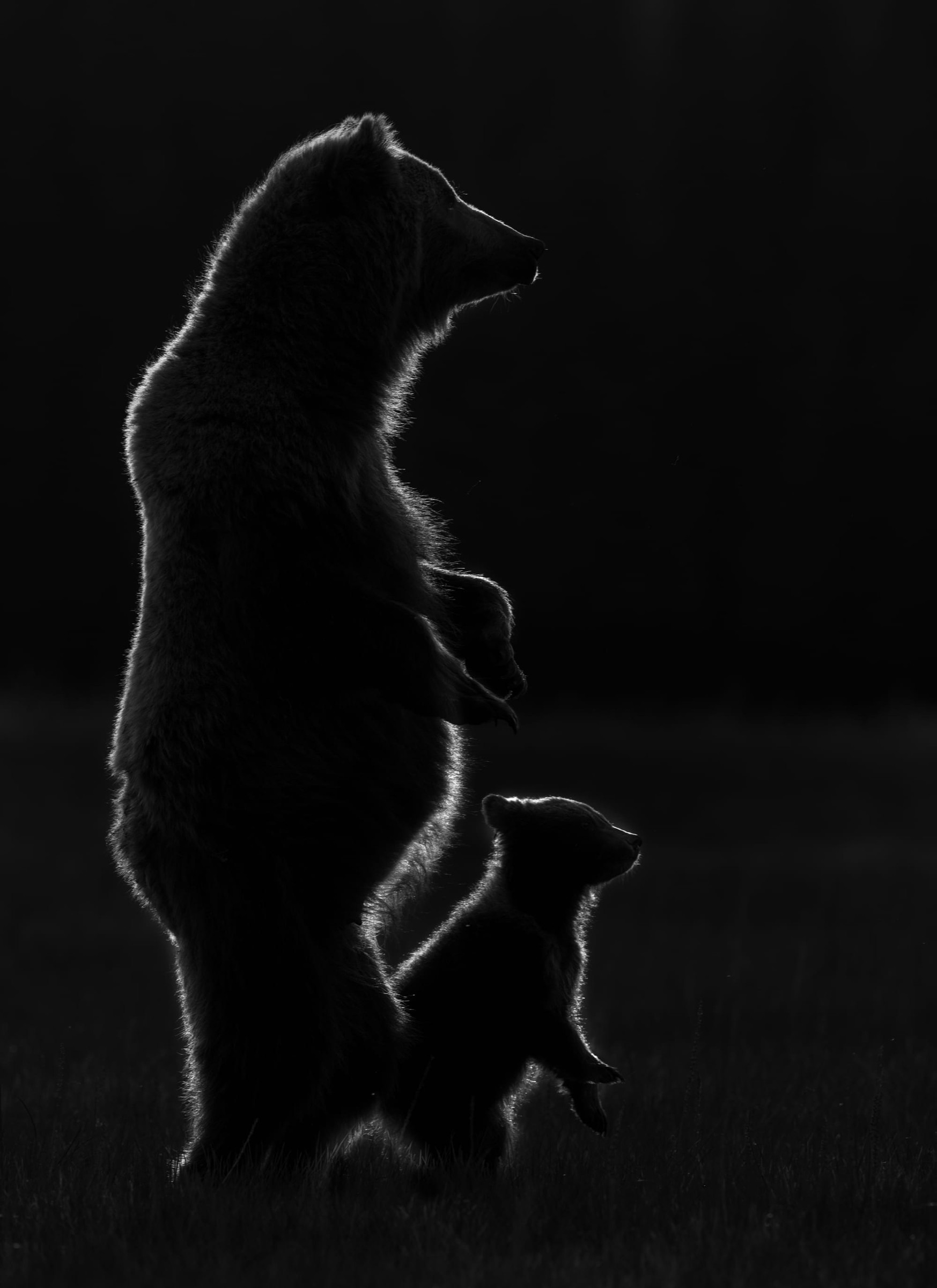 Standing Tall Together