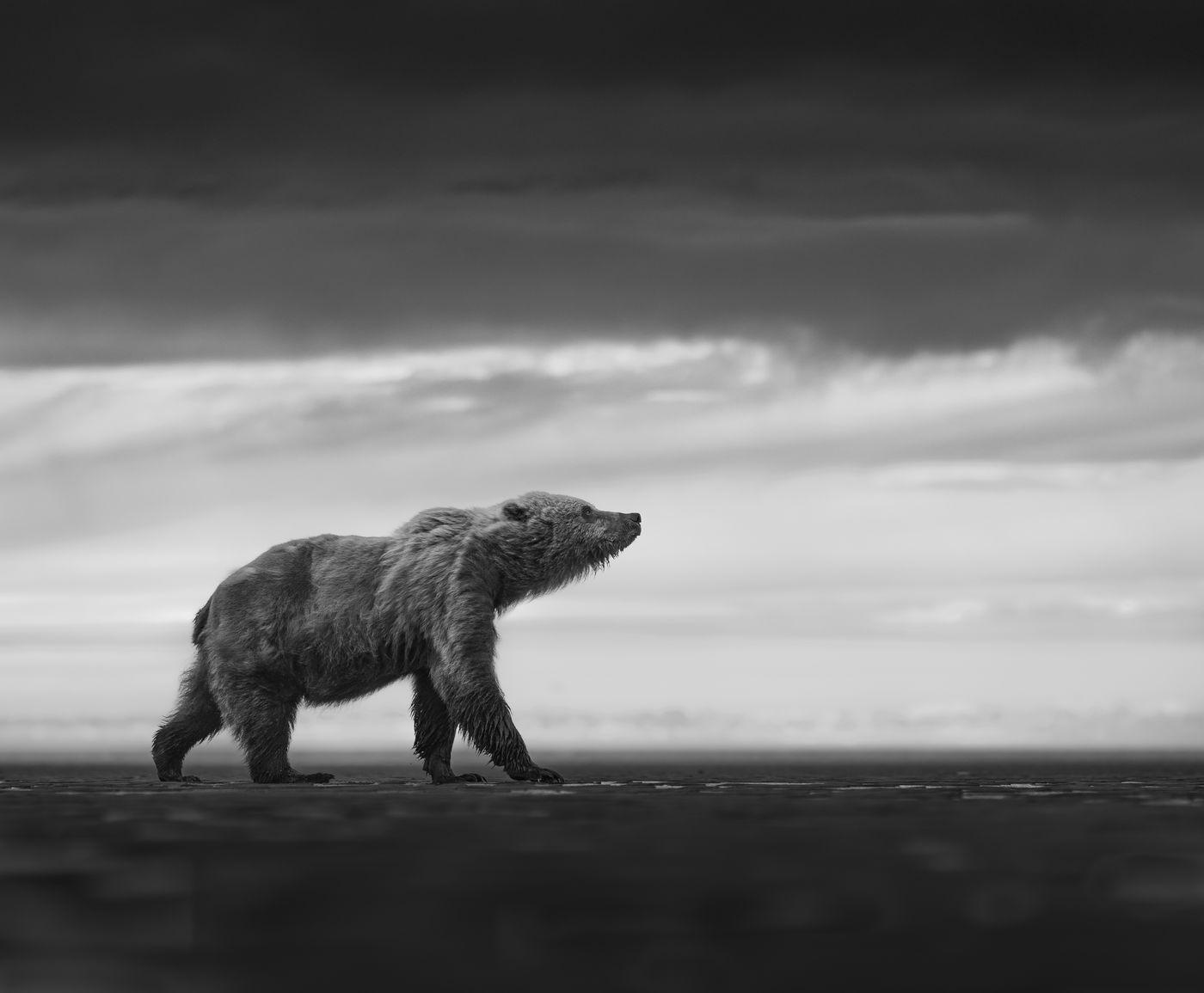 Undeterred