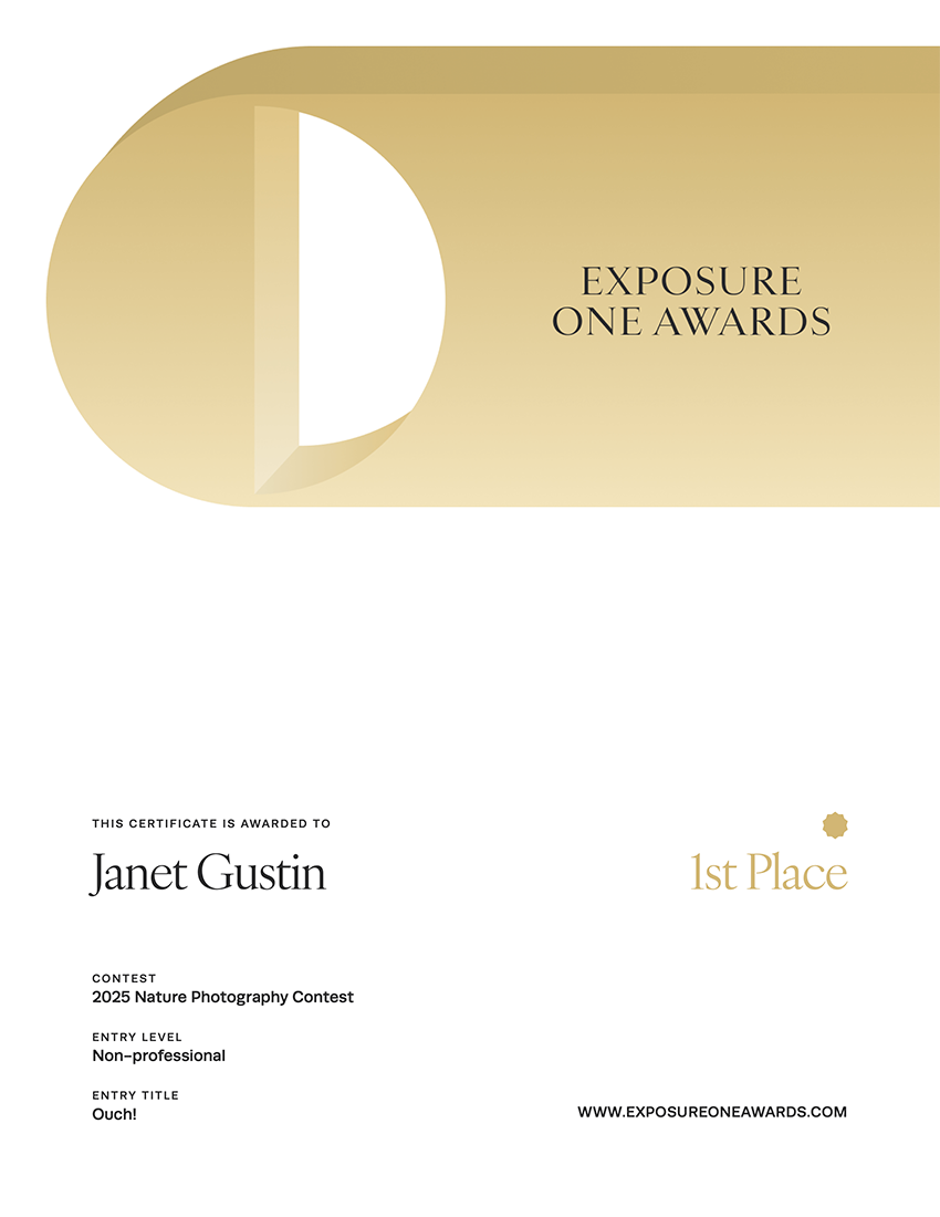 Exposure-One-Awards-Certificate--5-