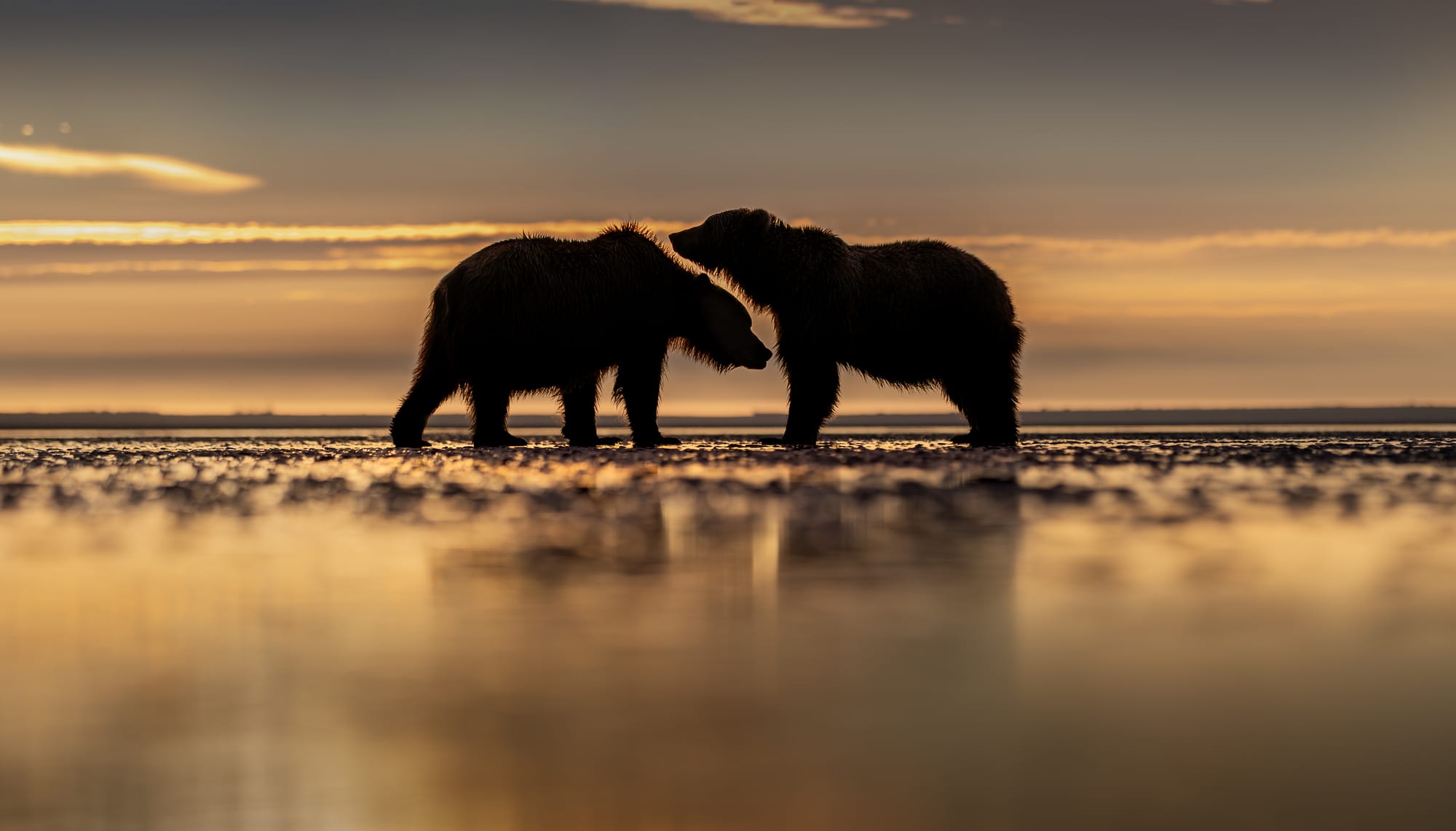 Wild Places and Quiet Wonders
