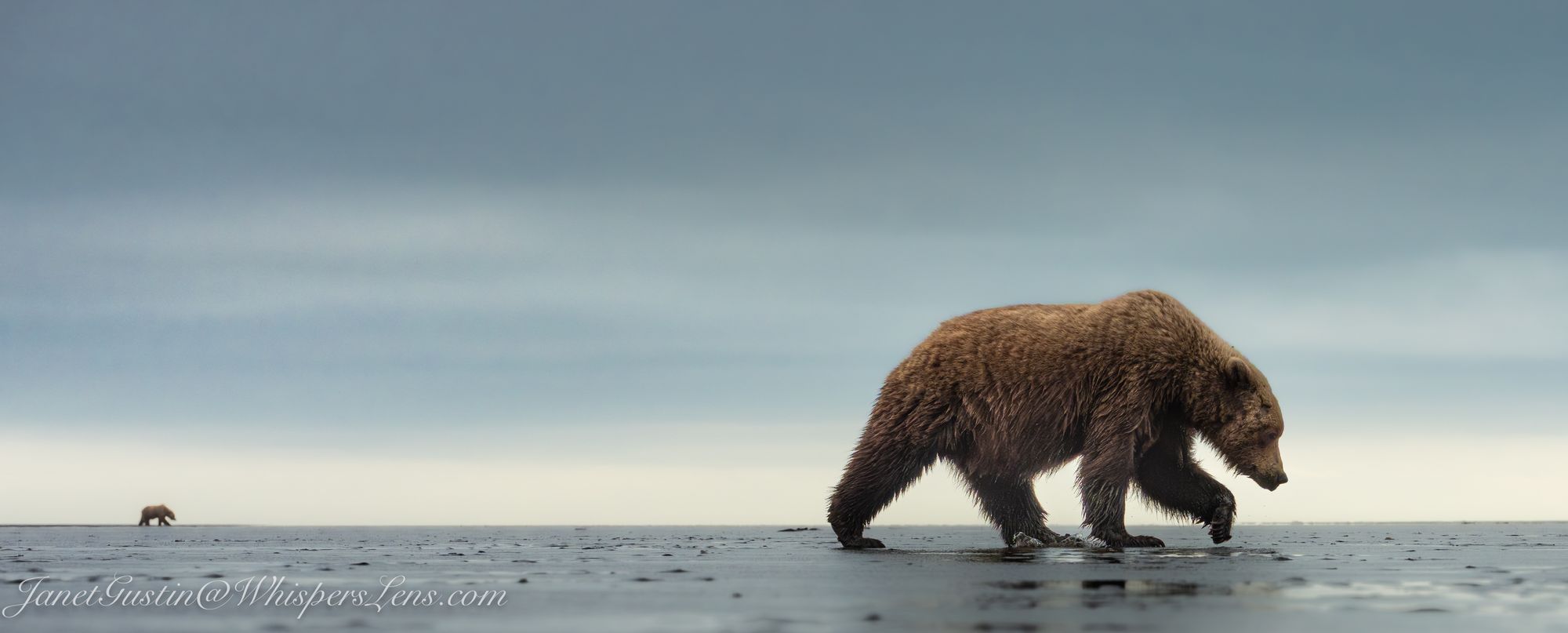 What If This Is the Adventure?