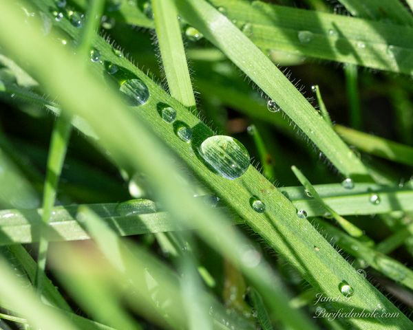 Some Rain Must Fall