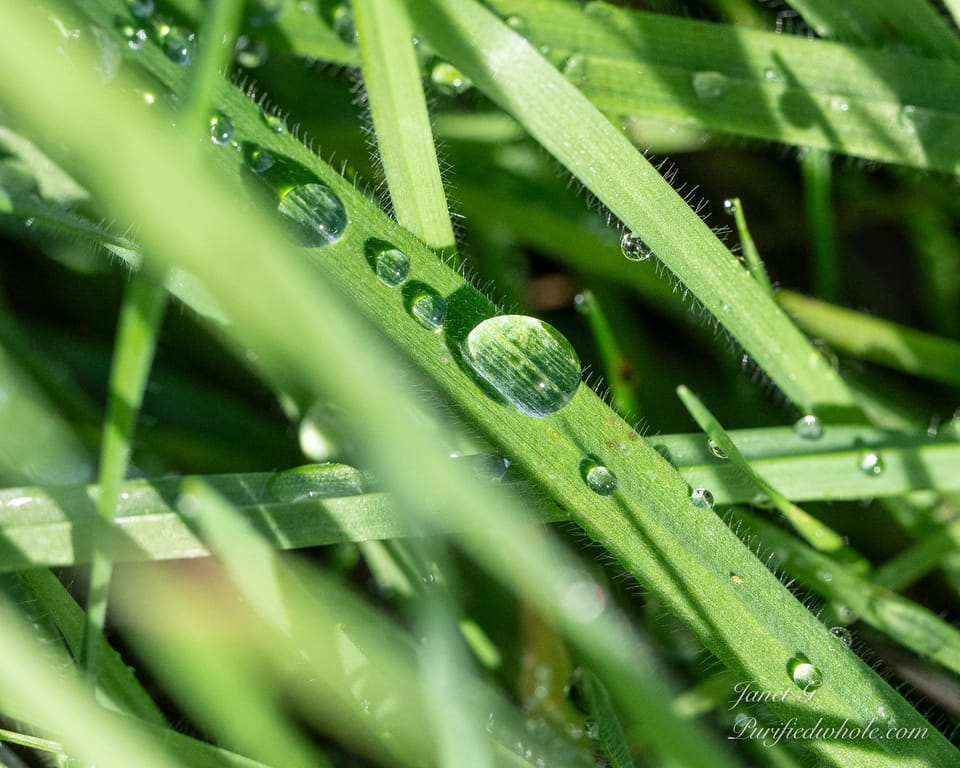 Some Rain Must Fall