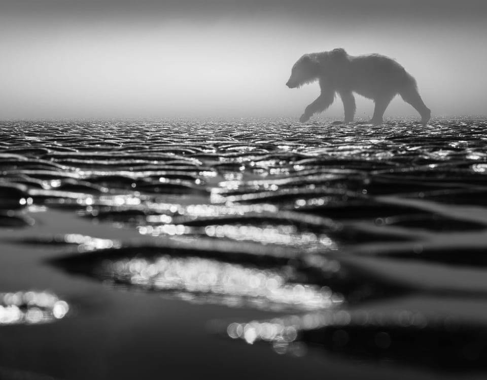 Walking on Liquid Light